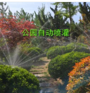 美國雨鳥6504公園案例 美國雨鳥6504公園案例